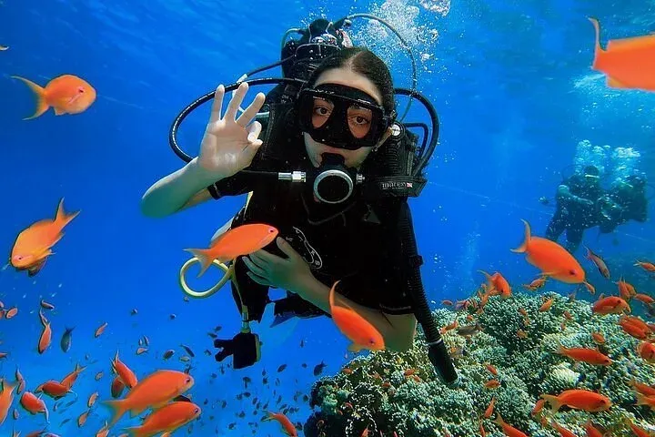 The Ultimate Sharm El Sheikh Diving & Adventure Guide for 2025
