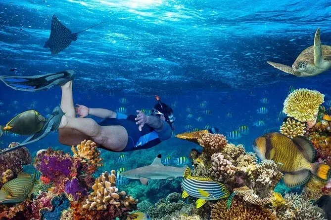 The Ultimate Snorkeling Guide in Sharm El Sheikh