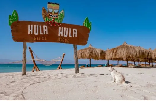 Paradise Island (Hula Hula) Hurghada Tour | Giftun