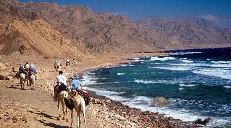 Dahab Safari Tours: Desert Thrills, Red Sea Views, and a Sinai Day You’ll Never Forget