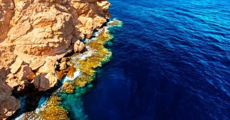 Ras Mohammed Tour from Sharm El Sheikh: Price, Itinerary, What to Bring
