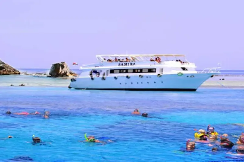 Tiran Island from Sharm El Sheikh: Best Snorkeling Spots and Beginner Tips