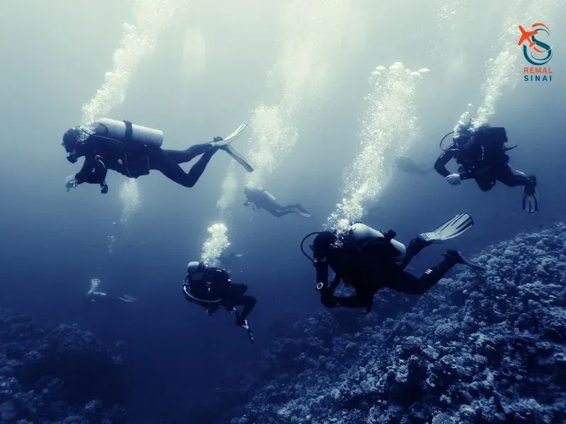 Red Sea Activities 2026: Sharm, Hurghada & Marsa Alam
