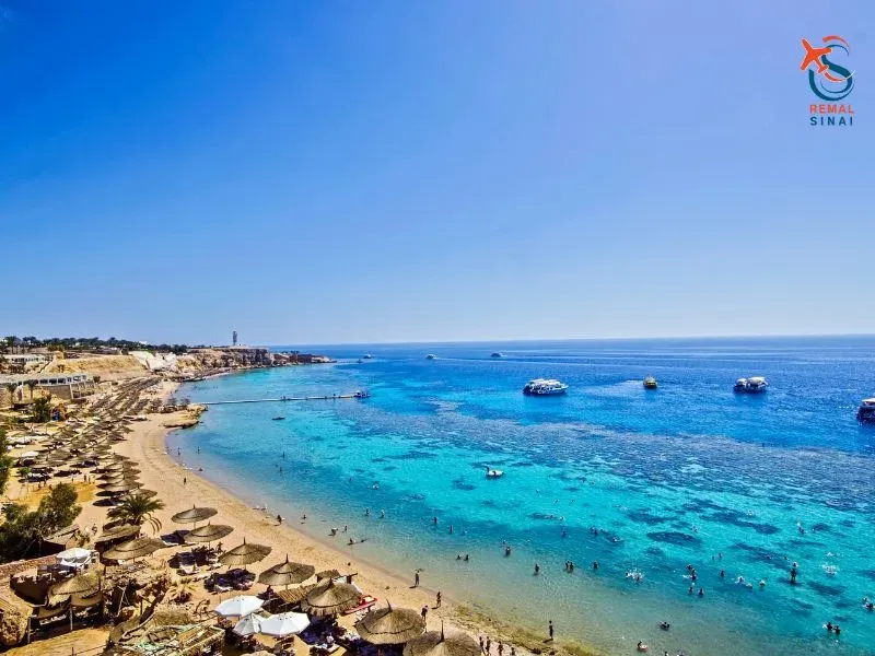 Best Red Sea Activities in Egypt 2026: Hurghada, Sharm & Marsa Alam Guide