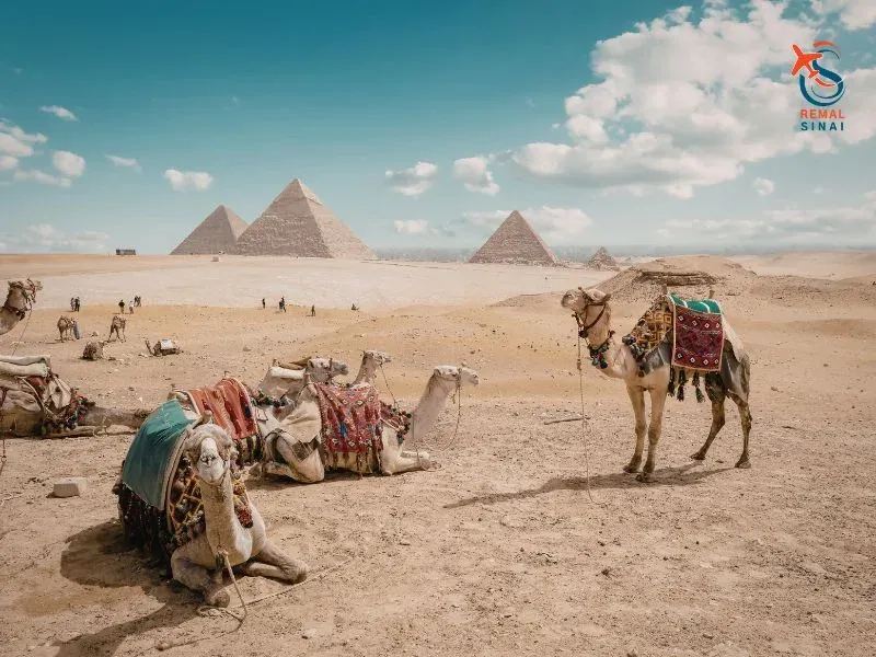 Holiday in Egypt: Complete Guide to Resorts, Prices and Travel Tips