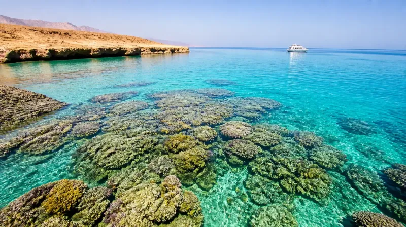 Ras Mohamed Nature Reserve from Sharm El Sheikh 2026: Snorkeling, Diving, Boat Trips & Visitor Guide