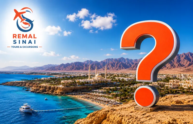 How Much Do Ras Mohammed Tours Cost? Prices, What's Included & Best Snorkeling Trips in Sharm El Sheikh (2026)