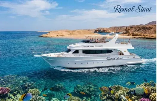 The Ultimate Egypt Red Sea Travel Guide 2026: VIP Hidden Gems in Sharm, Hurghada & Marsa Alam